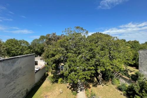 Charming 80m Near The Old Port! - image 4