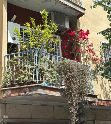 Casa Del Colle in Rome Suburbs
