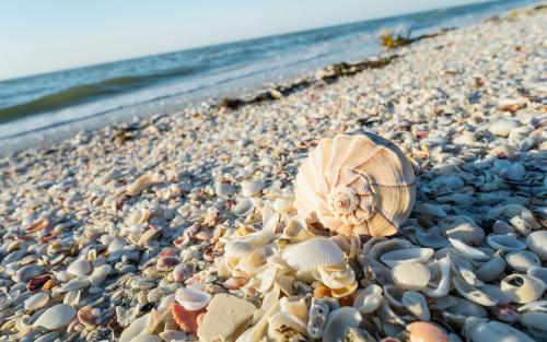 Sanibel Island Beach Resort