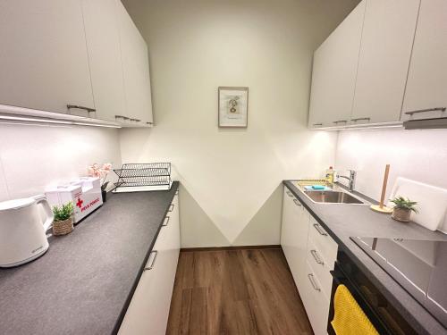 köök, JMC Residence Rooms Ljubljana near Kolmiksild