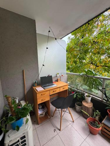 Green House