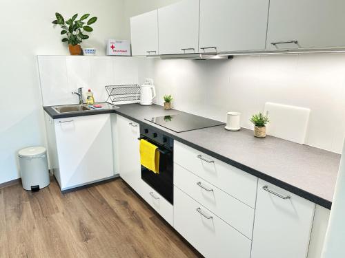 köök, JMC Residence Rooms Ljubljana near Kolmiksild
