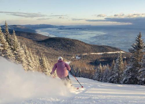 The Dreamer - Skiing, Spa & Outdoor Relaxation in Petite-Riviere-Saint-Francois (QC)