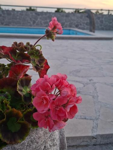 Vila Rogač, Tivat (zdjęcie 10)