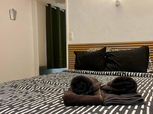 Appartement Entier Avignon Intramuros