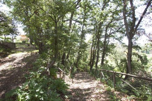 Stanza del Cerro - image 5