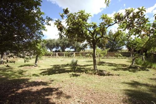Stanza dell'Ulivo - image 2