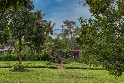 Chaikao Mountain View Retreat in Other