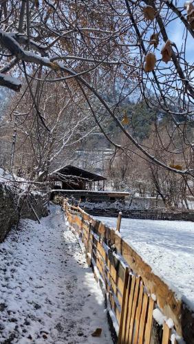 Kalash Echo Lodge - image 5