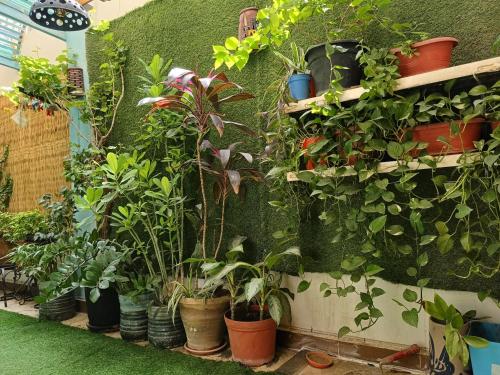 Studio Cairo 