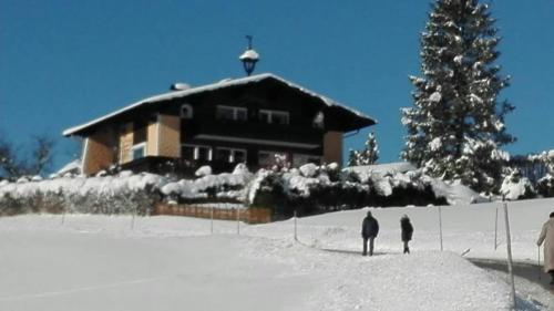 Ferienhaus Marianne - Apartment - Abtenau