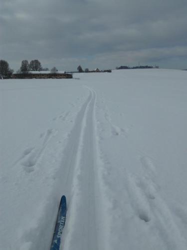 Penzion U Slunce - image 10