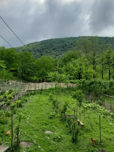 Motena Guesthouse in Sareki