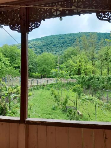 Motena Guesthouse in Sareki