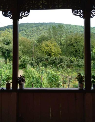 Motena Guesthouse in Sareki