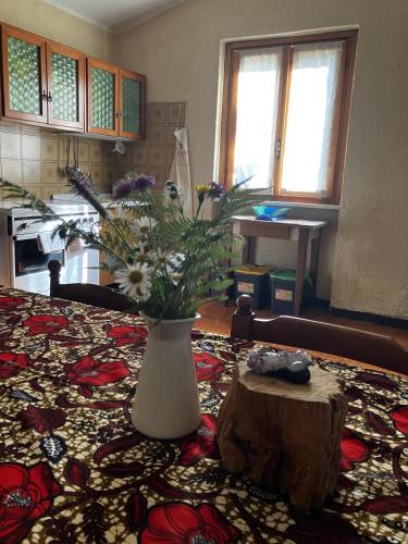 La casa nel bosco - Brione in Ome