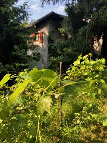 La casa nel bosco - Brione in Ome