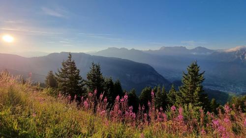 Chalet Sepp in Belalp, Schweiz
