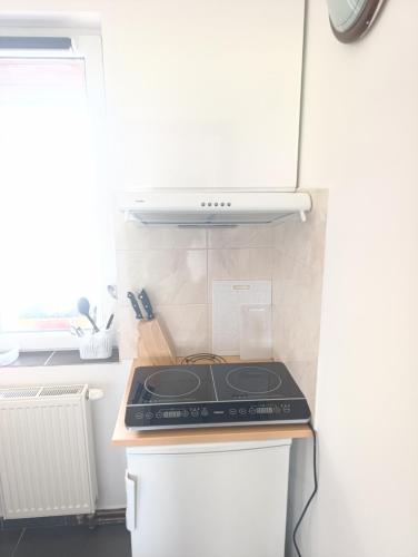 Apartmán v blízkosti města Štětí (Apartman v blizkosti mesta Steti) in Horní Počaply