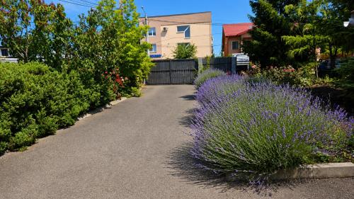 Confort INN 4
