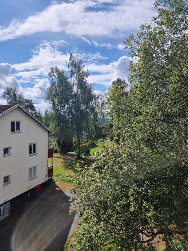 Apartment with some lake view in Savsjostrom