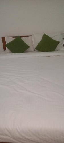 BRITALINA AC HOTEL ROOMs in Arpora - North Goa