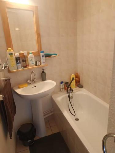 Bel appartement à la Montagne (Bel appartement a la Montagne) in Cervieres (Hautes Alpes)