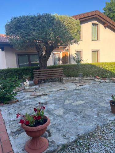 Casa Vacanze Il Gallo in Trecchina