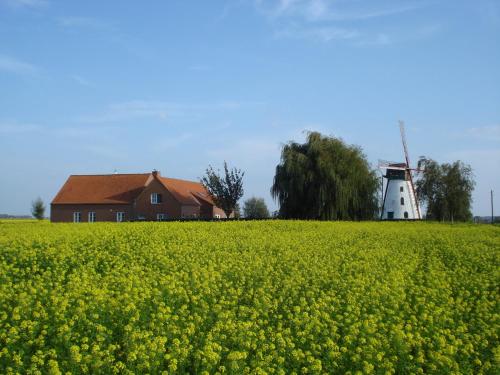 Brouckmolen gîte à louer Eikhoek