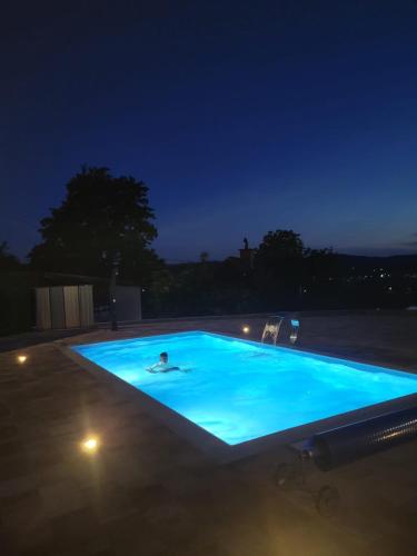 Studio apartman "DJED" in Hrvatska Kostajnica