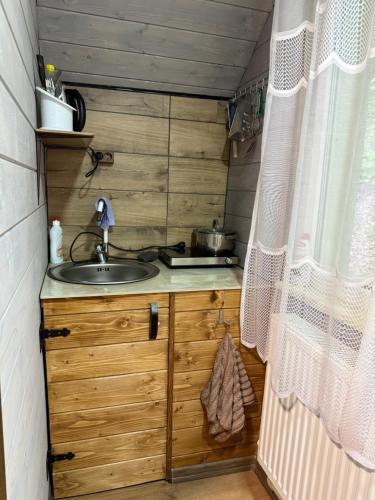 Шепіт лісу in Bukovets
