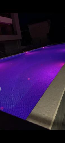 Mountain View Pool Apartment - image 4