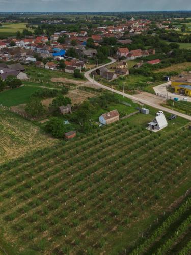 Vikendica Vukasin in Zasavica