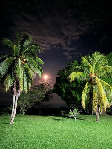 Martucan in Gesen