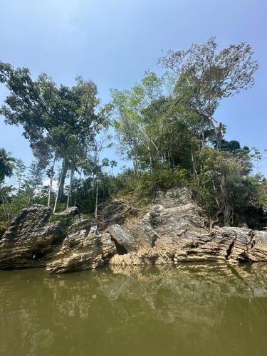 Martucan in Gesen