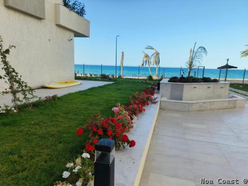 Noa Coast in Chatt Mariem