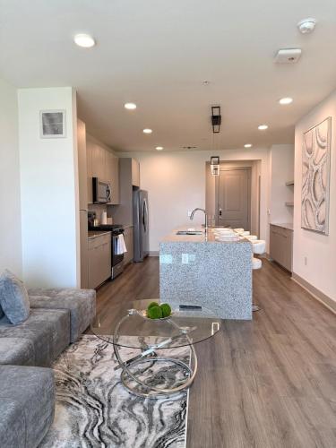 Sleek Modern Oasis in the Heights in Houston