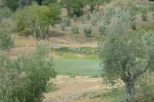 Podere Delle Fanciulle