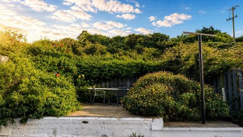 Cozy Homestay with Sea & Garden Views Ultra Fast WiFi Close to Town in Wicklow