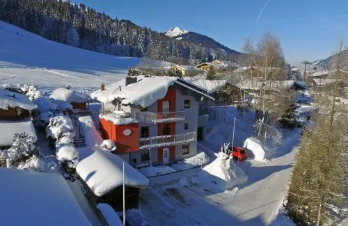 Birnhornblick in Leogang, Österreich