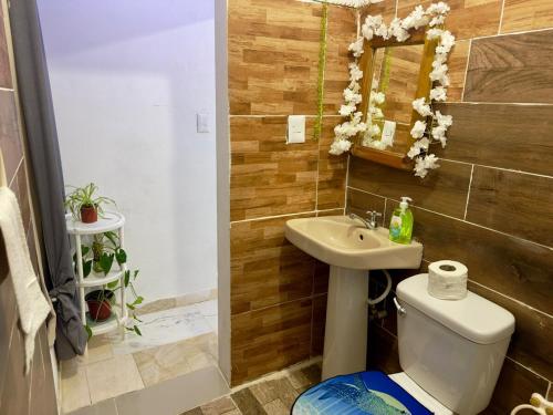 Constanza Downtown Apartment in קונסטנסה