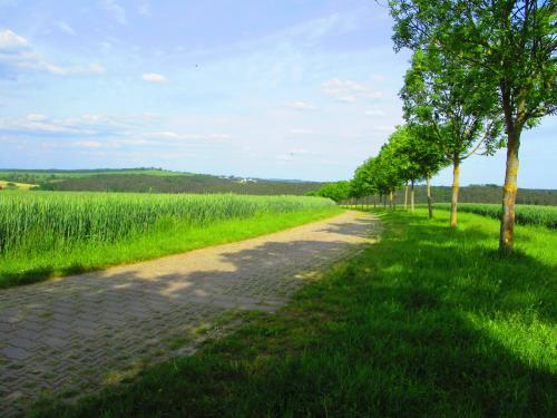 Ruhig Wohnen - einfache Wohnung auf dem Bauernhof in Zeulenroda-Triebes