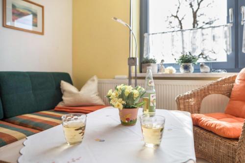Viesnīcas āriene, Ferienwohnungen zur Eule - Steinkauz in Satow