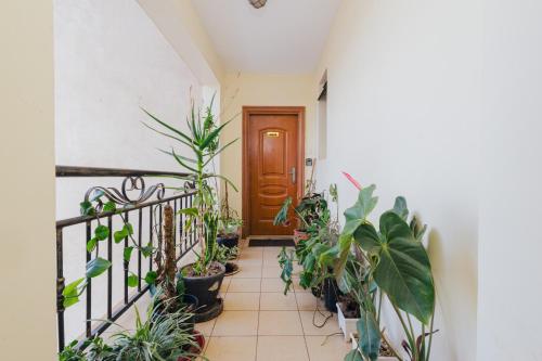 ทางเข้า, Chic City Apt with attached Private Bath 5km toUN in รูอากา
