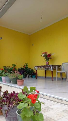 Hotel Odabade in Darcheli