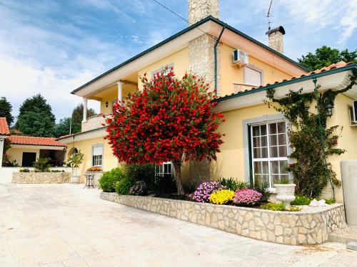 Viesnīcas āriene, Sunrise Villa Alvorada - Rose Parlour in Vila Nova de Poiares
