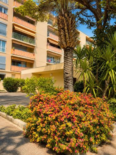Convenient studio in Antibes in Avenue de Cannes
