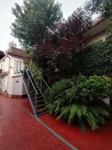 Nuevo Chalet Suizo