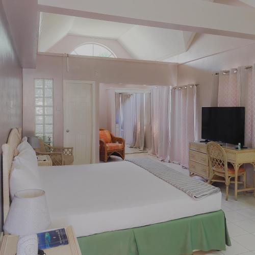 New Montrose Hotel in Kingstown