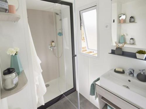 Mobil home climatisation - 6 pers. - API-1-52-2785 in Saint-Point